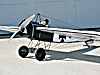 Pfalz E1 36" 